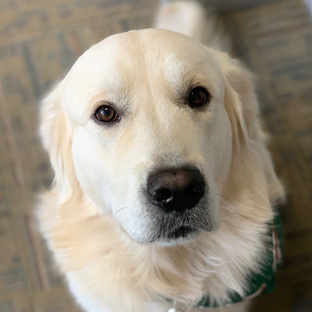Meet your Posher, Stephen